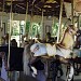 Congress Park Carousel in Saratoga Springs, New York city