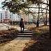 Рижский квартал в городе Славутич