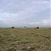 Dungeness beach