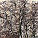 Łukowska St., 3 in Warsaw city