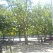 Amstelveld (nl) in Amsterdam city