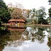 sreejith edamuttath in Kodungallur city