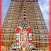 Rohini Apartments - (Aangel Swetha's Palace) in Tiruchirappalli Metro Area city