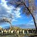 پل  تاریخی شهرستان in اصفهان city