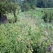 Бетонный фундамент в городе Ирпень