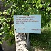 ДОТ 480 в городе Гостомель
