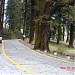 Raj Bhavan Golf course Nainital in Nainital city
