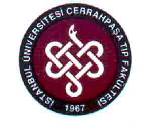 Istanbul University Cerrahpasa Medical Faculty And Hospital Istanbul Province
