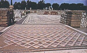 Villa dei Volusii (50 a.c) museo, sito archeologico