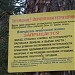 Лесопарк «Пышки» в городе Гродно