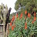 Oakland Zoo in Oakland, California city