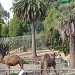 Oakland Zoo in Oakland, California city
