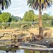 Oakland Zoo in Oakland, California city