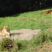 Oakland Zoo in Oakland, California city