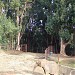 Oakland Zoo in Oakland, California city
