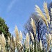 Oakland Zoo in Oakland, California city