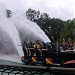 SheiKra in Tampa, Florida city