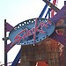 SheiKra in Tampa, Florida city