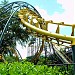 Jungala (Old Python) in Tampa, Florida city