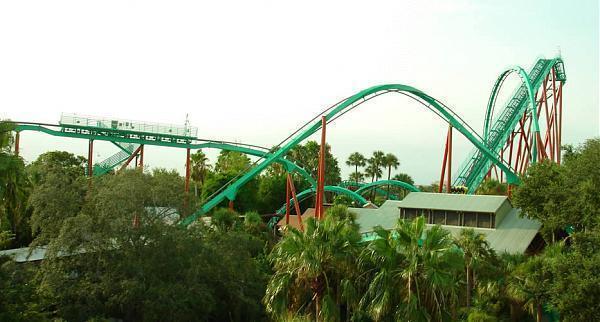Kumba Tampa Florida