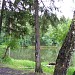 Озеро Лесное в городе Сергиев Посад