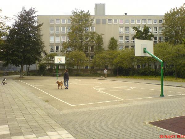 Basketball Court Amsterdam