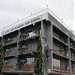 Divine Light Academy (DLA) in Las Piñas city