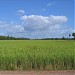 Former East Baray in Siem Reap city