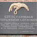 Pomnik poświęcony Toruńskim Lotnikom. in Toruń city