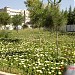 Faculté de Médecine et de Pharmacie in Fes city