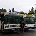 Arrêt de bus, terminus 42 المحطة النهائية لحافلات (fr) in Fes city