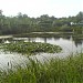 Staw-Łowisko 