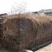 Chipre's Home - Borgoan 