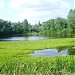 Бабье озеро в городе Киев