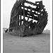 Peter Iredale Shipwreck