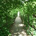 Арочный пешеходный мост через реку Раменку в городе Москва