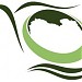 الهئية العامة للمعلومات in Tripoli city