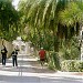 Bosque Venustiano Carranza en la ciudad de Torreón
