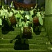 PEER SAYED SADIQUE SHAH HUSSAINI SARMAST MADNI NAQUI CHISTI (R.A.) in Nashik city