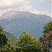 Taillefer