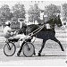 Hippodrome de la Prairie dans la ville de Caen