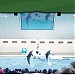 Delfinarium in Stadt Nürnberg