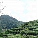 貓空 在 台北市 城市 