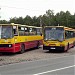 Pętla autobusowa 