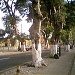 Avenida Pedro de Osma  (en) en la ciudad de Lima