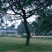 Beautiful Park Near Shopping Center in Lahore city