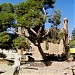 Venetian Palace Ruins in Gazimağusa city