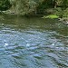Выход воды из коллектора (ru) in Kyiv city