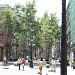 Paseo del Borne en la ciudad de Barcelona