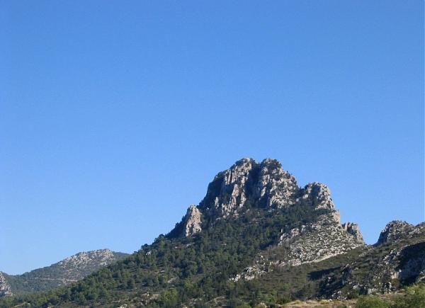 wikimapia